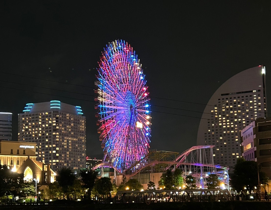 こんにちは✨

一昨日の画像